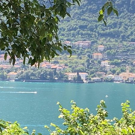 Apartment Casa Dono Il Lago Pognana Lario Экстерьер фото