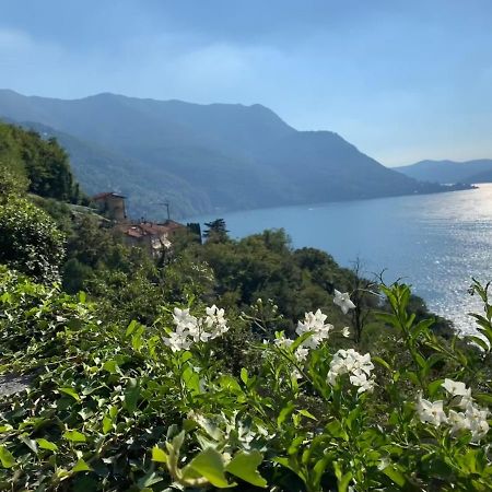 Apartment Casa Dono Il Lago Pognana Lario Экстерьер фото