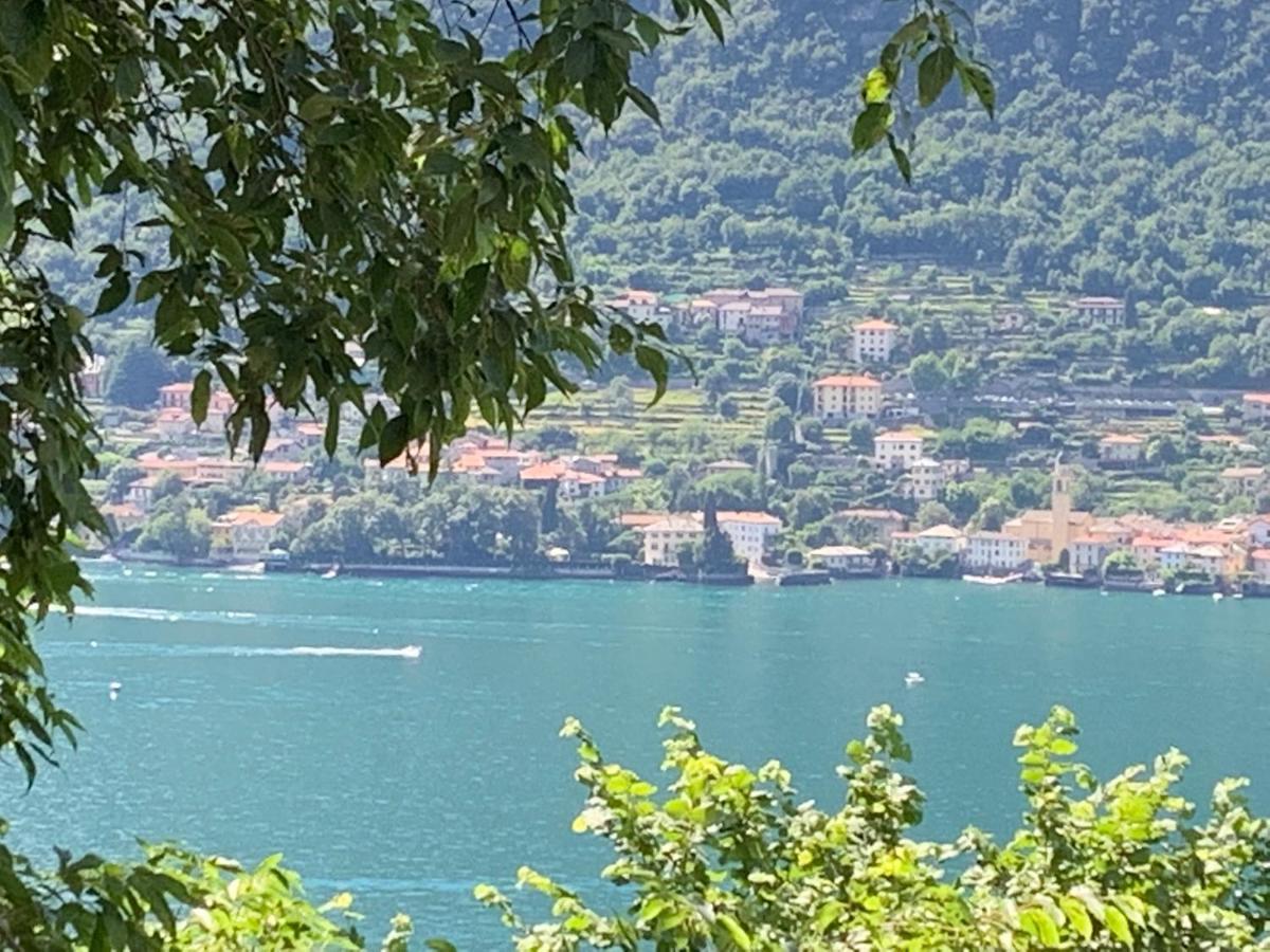 Apartment Casa Dono Il Lago Pognana Lario Экстерьер фото