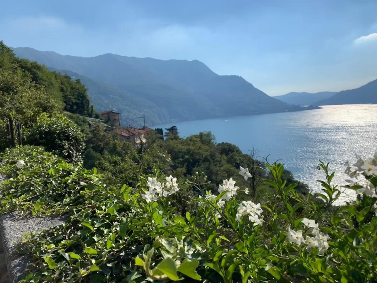 Apartment Casa Dono Il Lago Pognana Lario Экстерьер фото