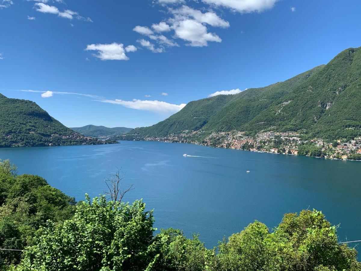 Apartment Casa Dono Il Lago Pognana Lario Экстерьер фото