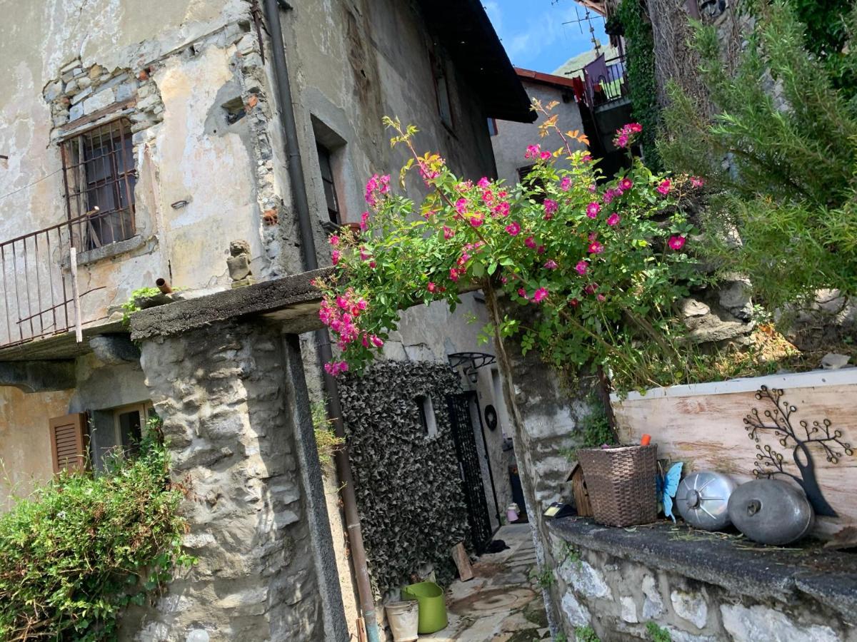 Apartment Casa Dono Il Lago Pognana Lario Экстерьер фото