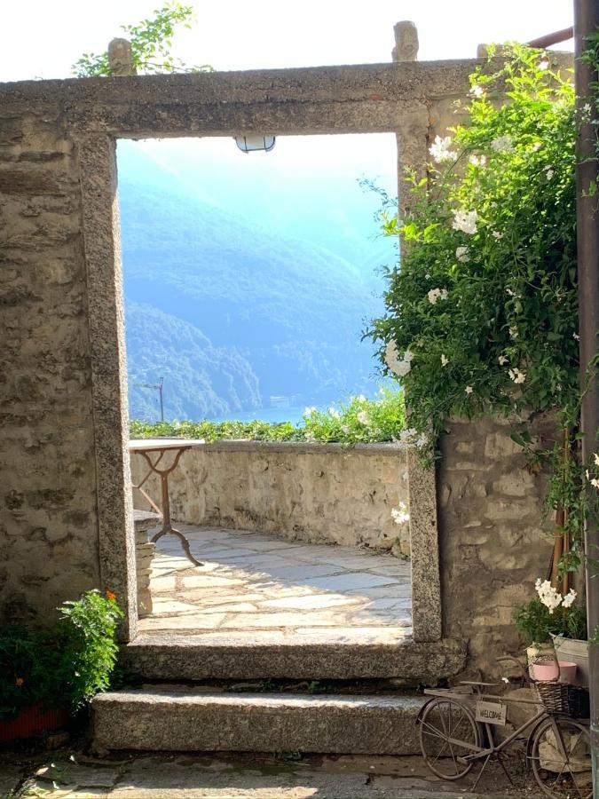 Apartment Casa Dono Il Lago Pognana Lario Экстерьер фото