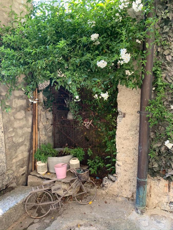 Apartment Casa Dono Il Lago Pognana Lario Экстерьер фото